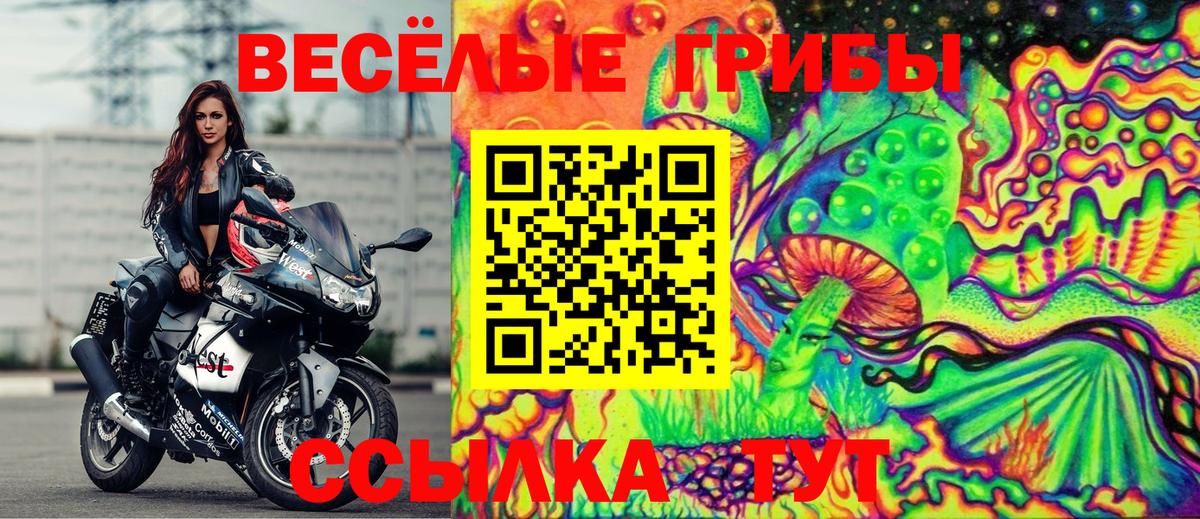 Галлюциногенные грибы Psilocybine cubensis Кушва